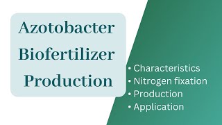 Azotobacter biofertilizer productionAzotobacter Nitrogen fixationApplication of Azotobacter [upl. by Airliah]