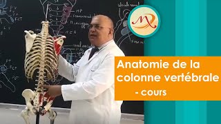 Anatomie de la colonne vertébrale cours [upl. by Ailat]