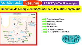 Résumé  Libération de lénergie emmagasinée dans la matière organique ملخص بالداريجة [upl. by Anilef792]