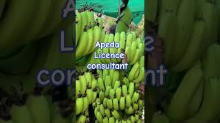 Apeda LICENCE चाहिए 9230222490shorts [upl. by Aseela]