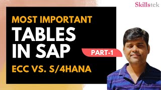 Most Important SAP Tables in S4 HANA Finance amp ECC FICO  What SAP Tables Used For [upl. by Ragnar167]