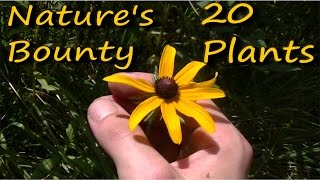 20 Edible amp Medicinal Plants In 10 Minutes [upl. by Arakat]