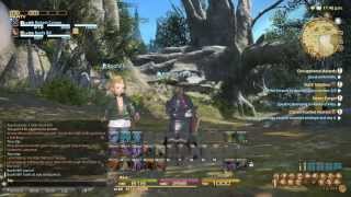 FFXIV A Realm Reborn  Fun With Animations [upl. by Nava416]