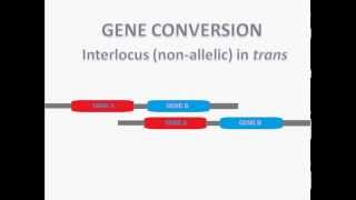 GENE CONVERSION [upl. by Nakhsa923]