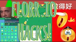 FLORRIO HACKS florrio florr iosgames hack hacks hacker code florrioupdate games unblocked [upl. by Colan312]