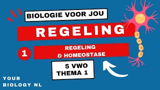 5 vwo  Regeling  1  Regeling amp Homeostase [upl. by Enicnarf]