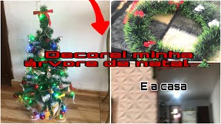 Devorando a Árvore de natal 🎄  decorei a casa 😻🎄 [upl. by Rodrique]