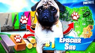 Mein HUND entscheidet ALLES in FORTNITE [upl. by Gibby]