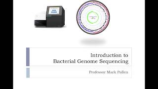 Introduction to bacterial genome sequencing [upl. by Swanhilda]