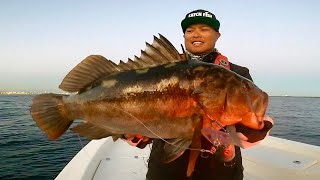 Fishing From Catalina Island to Long Beach Catch Clean and Cook [upl. by Sproul]