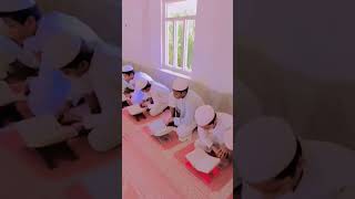 madarsa madina tululoom Belgachhi beautifull nazam [upl. by Skipp]