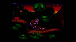 Donkey Kong Country  Orangutan Gang ALL Secrets and Bonus Rooms 101 Old Video ReUpload [upl. by Roxi]