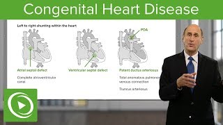 The Easy Way to Understand Congenital Heart Disease 🫀  Cardiology [upl. by Erdnassak638]