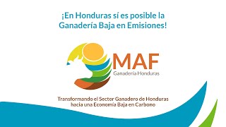 Transformando el sector ganadero de Honduras en una economía baja de carbono [upl. by Lawler]