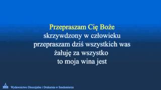 Przepraszam Cię Boże  wersja karaoke [upl. by Philine513]