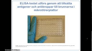 ELISAtest för att diagnosticera diabetes typ 1 [upl. by Harriot]