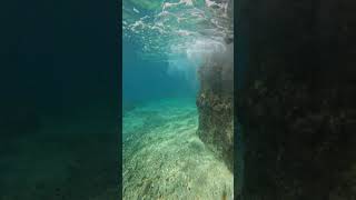 COZUMEL Underwater Tour [upl. by Anilemrac896]