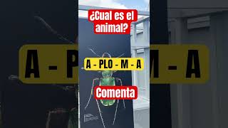 ¿Puedes Descifrar El Animal [upl. by Vorster]