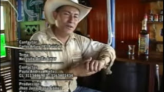 NECESITO DE TU AMOR Carlos arturo el paisita norteño [upl. by Lrub]