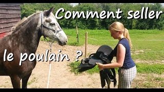 Comment seller le poulain   Débourrage de Clémence partie 6 [upl. by Wood]