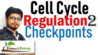 Cell Cycle Checkpoints  Cell cycle regulation 2 [upl. by Ibur]