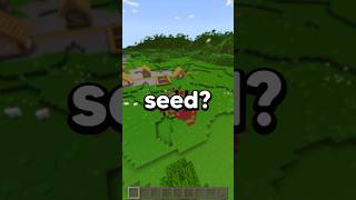 BEST BEDROCK 121 SEED shorts [upl. by Ennaegroeg]