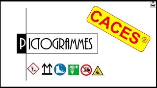 LES PICTOGRAMMES [upl. by Doykos]