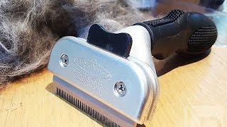 福美家神奇去毛梳豪華版實際使用（FURminator deLuxe deShedding Tool）【LPComment】 [upl. by Tri]