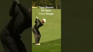 Tiger Woods 7 Iron Stinger Punch Shot at the US Open tigerwoods golfswing golf [upl. by Aikimat]