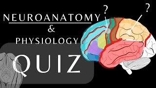 Neuroanatomy Quiz Anatomy and Physiology of the Cerebrum Lobes Gyri amp Sulci anatomyquiz shorts [upl. by Htiaf]