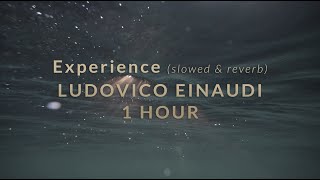 Ludovico Einaudi  Experience slowed amp reverb  1 HOUR [upl. by Enilra74]