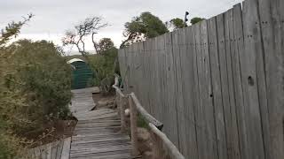 Slangkop Tented Camp in Western Cape [upl. by Vitkun]