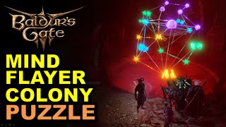 Mind Flayer Colony Brain Puzzle  Necrotic Laboratory Locked Door  Baldurs Gate 3 BG3 [upl. by Lever8]