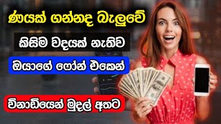 How to get a online cash loan in 2 minutes Srilanka New online cash loan website 2023  online loan [upl. by Tegan]