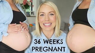 36 WEEK PREGNANCY UPDATE  LOW BABY BUMP  EMILY NORRIS [upl. by Murage]