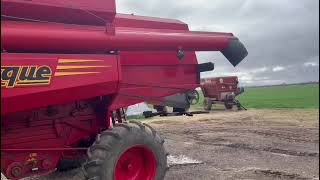 🚜MAQUINARIA AGRÍCOLA  DON ROQUE 125 shorts [upl. by Guevara]