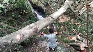 chainsaw operator skills my [upl. by Tortosa]