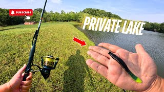 Largemouth Bass Fishing in a Private Lake [upl. by Maidy860]