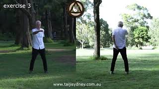 Larry Friedberg Taijisydney Exercise 3  Song Gong 3 [upl. by Najib147]