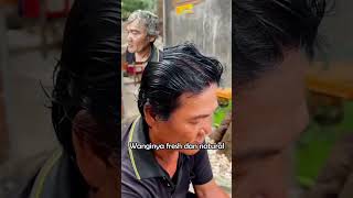 Shampoo Rambut Anti Uban BPOM Penyubur dan Penghitam Rambut Permanen [upl. by Ragse305]