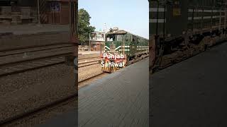 song Punjab Sahiwal Kent [upl. by Latimer]