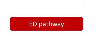 E D Pathway  Physiology and Metabolism  Entner and Doudoroff  Biochemistry  Hindi  Pathway [upl. by Mukul247]