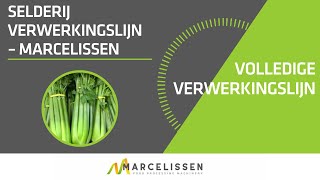 Selderij Verwerkingslijn – Marcelissen [upl. by Hermia]