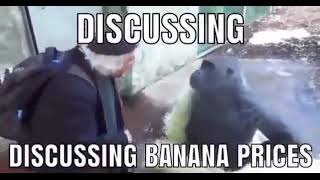 Discussing Banana Prices [upl. by Marmion584]