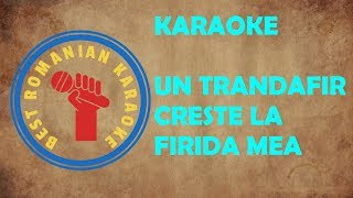 KARAOKE Un trandafir Creste la Firida mea Versuri Negativ [upl. by Esmaria]