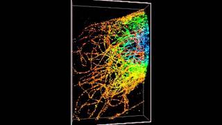 ZEISS ELYRA 3DPALM of microtubules 6 micron multiplane [upl. by Anitserp]