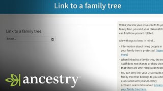 AncestryDNA  How To AncestryDNA Results To Your Ancestry Tree  Ancestry Academy  Ancestry [upl. by Nadroj]