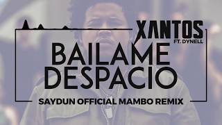 Xantos ft Dynell  Bailame Despacio Saydun Official Mambo Remix [upl. by Notnef103]