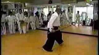 Martial Arts  Aikido Hard [upl. by Sarina]