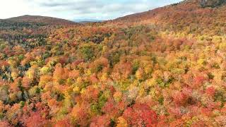 New England Aerial Fall Foliage  Westmore Vermont  October 2 2024 [upl. by Hsiekal958]